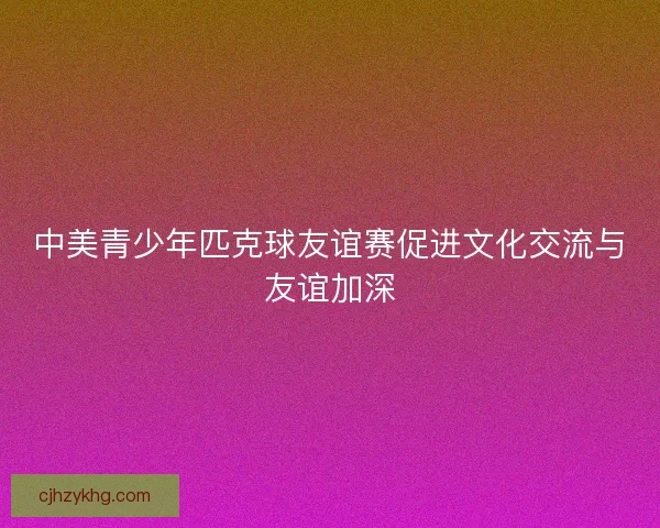 中美青少年匹克球友谊赛促进文化交流与友谊加深